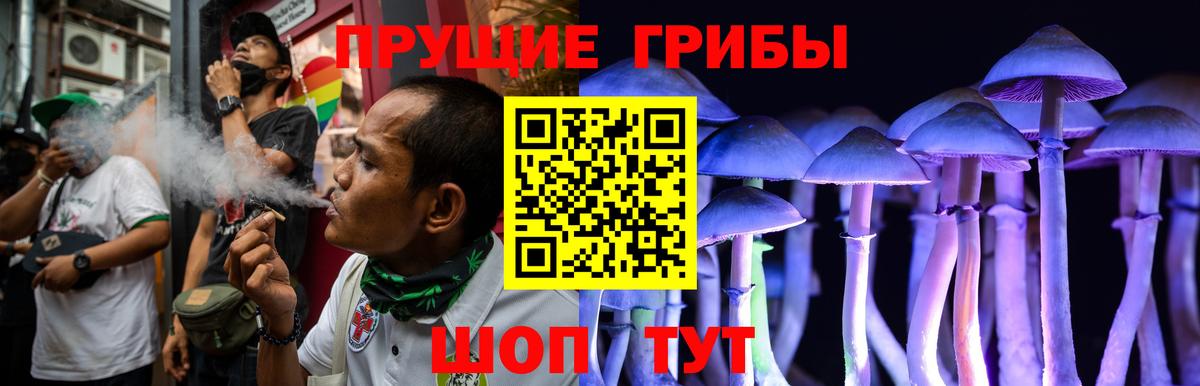 Псилоцибиновые грибы прущие грибы  Вход с VPN  Псилоцибиновые грибы Magic Shrooms  Хасавюрт 